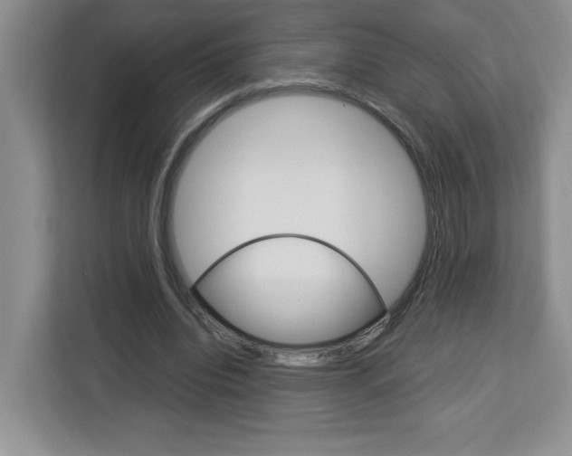 X0000113090440200908281010
