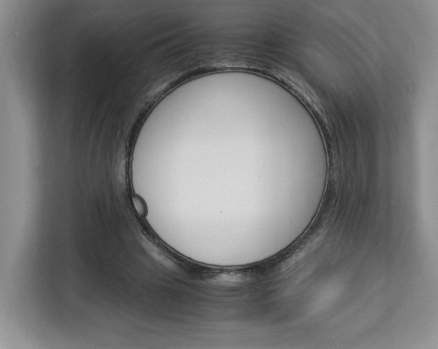 X0000113090441200908281010