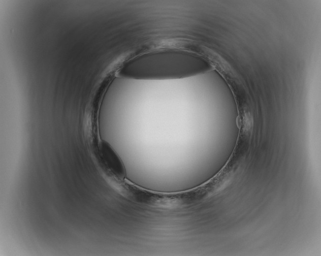 X0000113090444200908281010