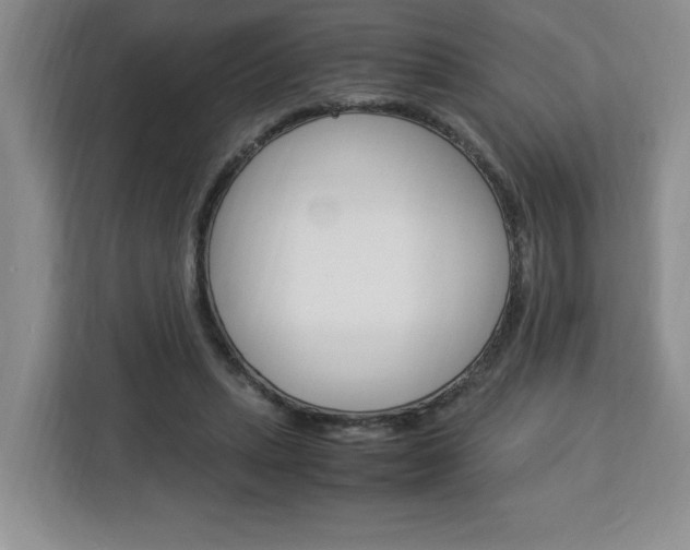 X0000113090447200908281010
