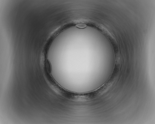 X0000113090448200908281010