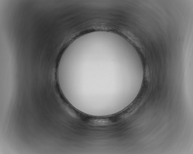 X0000113090449200908281010