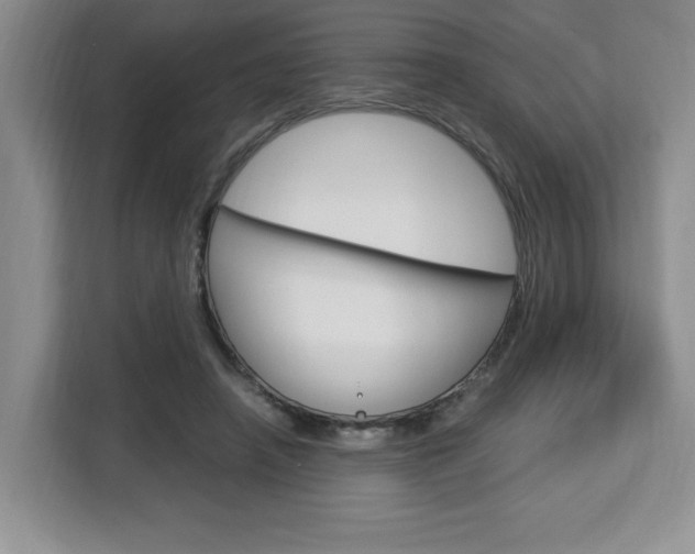 X0000113090450200908281010