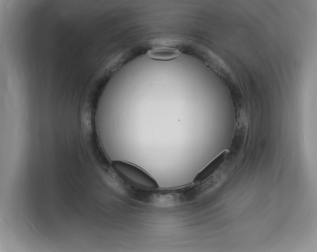 X0000113090452200908281010