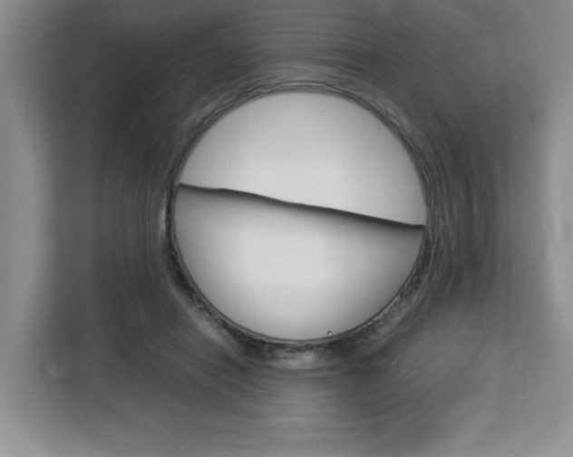 X0000113090454200908281011