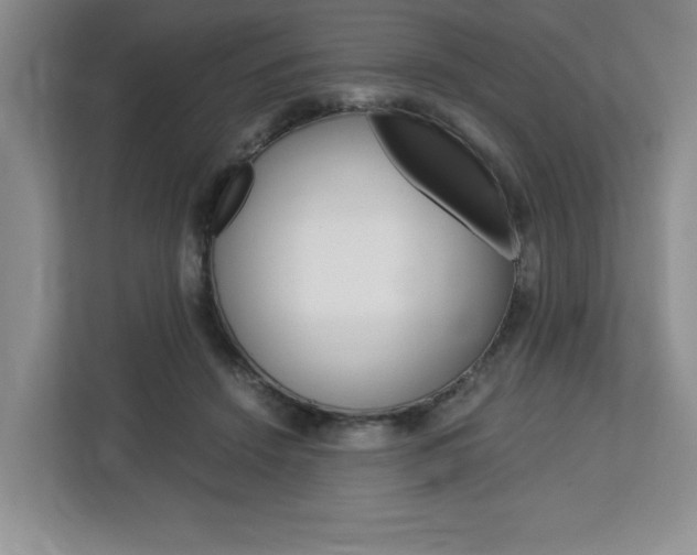 X0000113090456200908281011