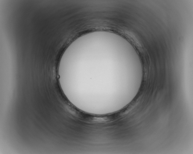 X0000113090457200908281011