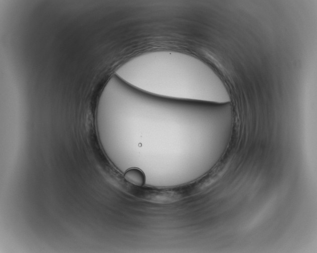 X0000113090459200908281011