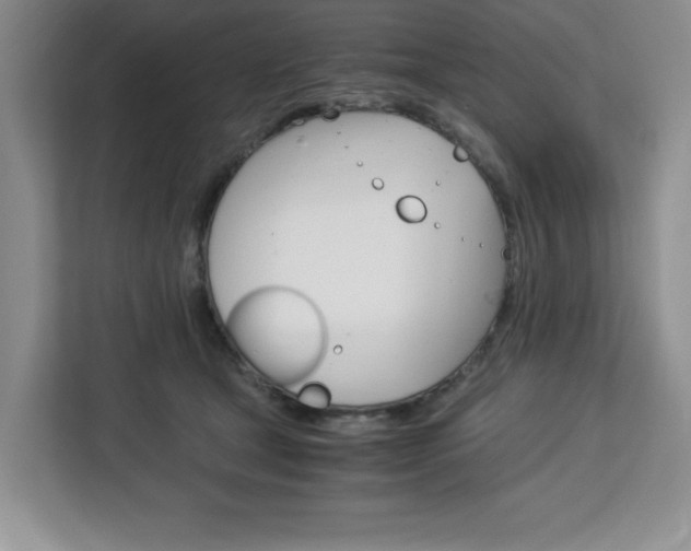 X0000113090465200908281011