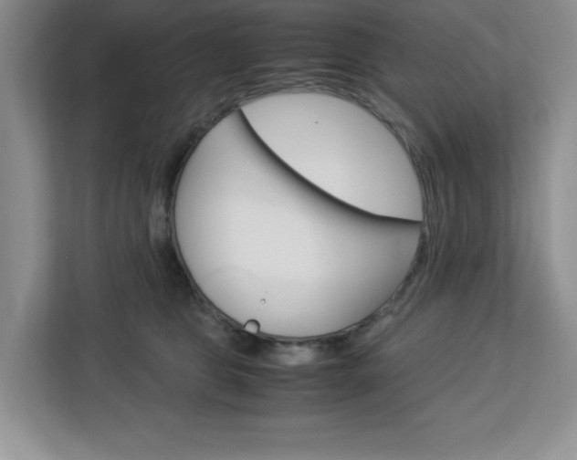 X0000113090469200908281011