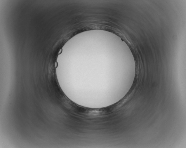 X0000113090473200908281011