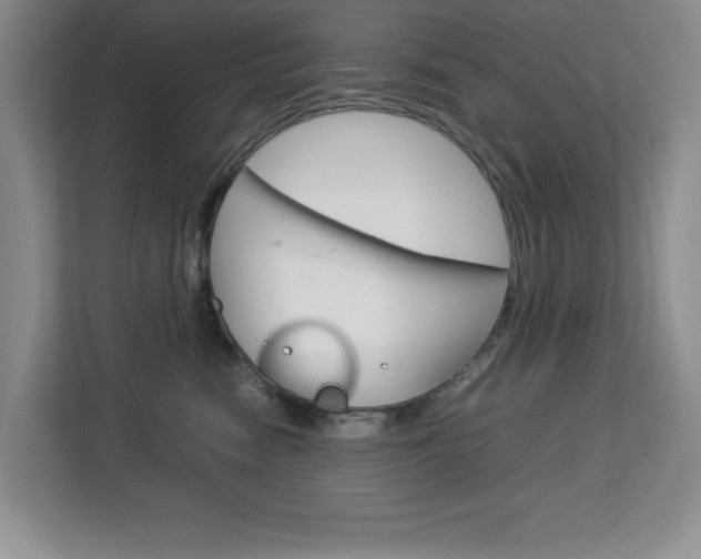 X0000113090474200908281011