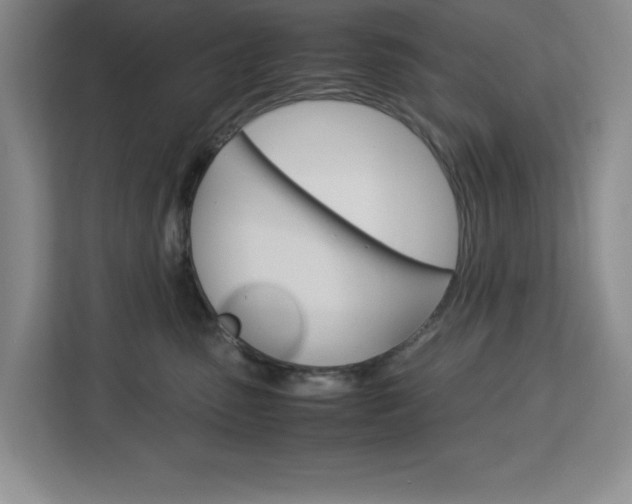 X0000113090475200908281011