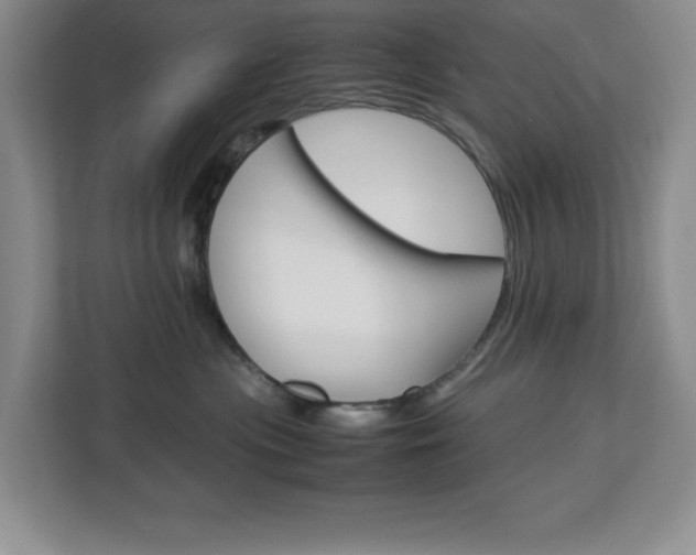 X0000113090477200908281011