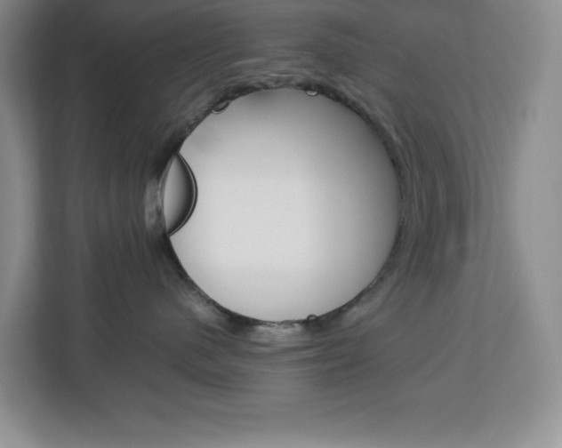 X0000113090480200908281011