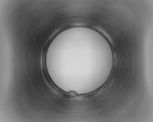 X0000113090482200908281010