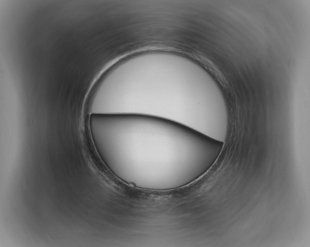 X0000113090484200908281010