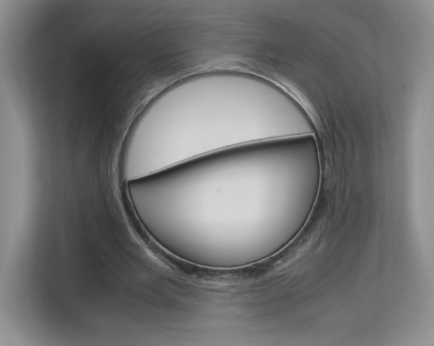 X0000113090485200908281010