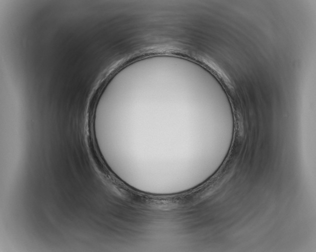 X0000113090486200908281010