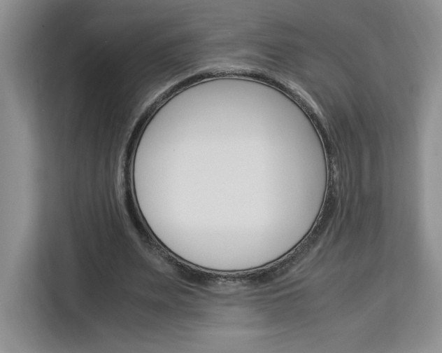 X0000113090487200908281010