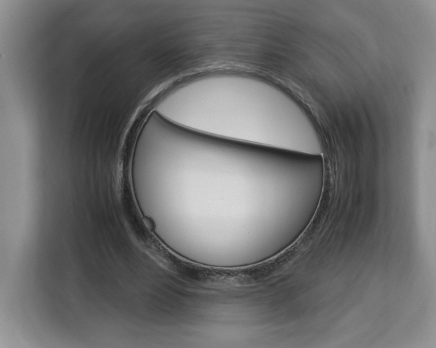 X0000113090488200908281010