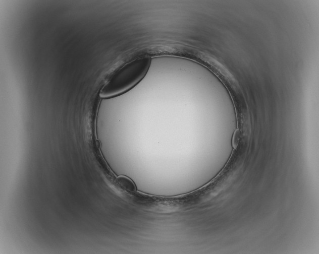 X0000113090489200908281010