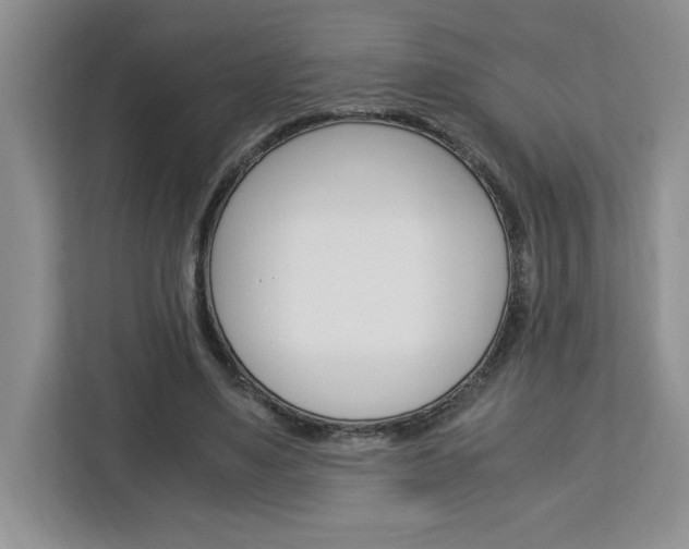 X0000113090491200908281010