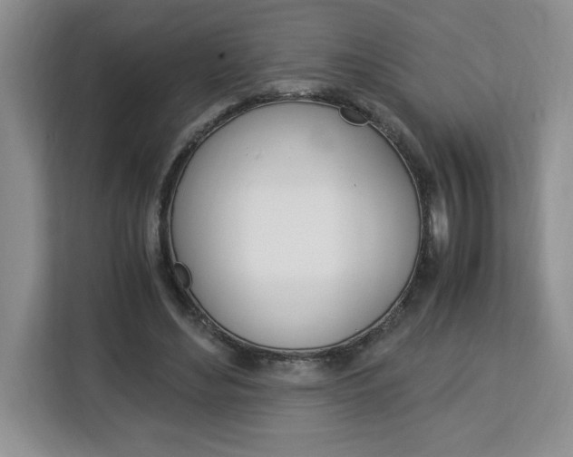 X0000113090492200908281010