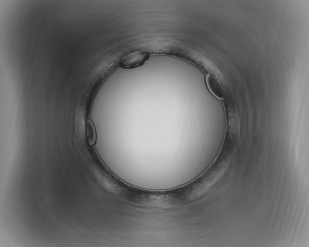 X0000113090493200908281010