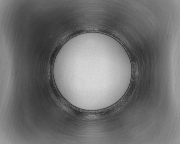 X0000113090494200908281010