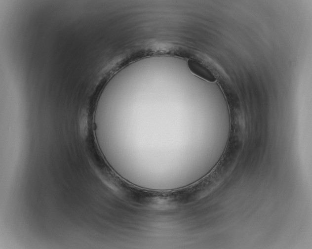 X0000113090496200908281010