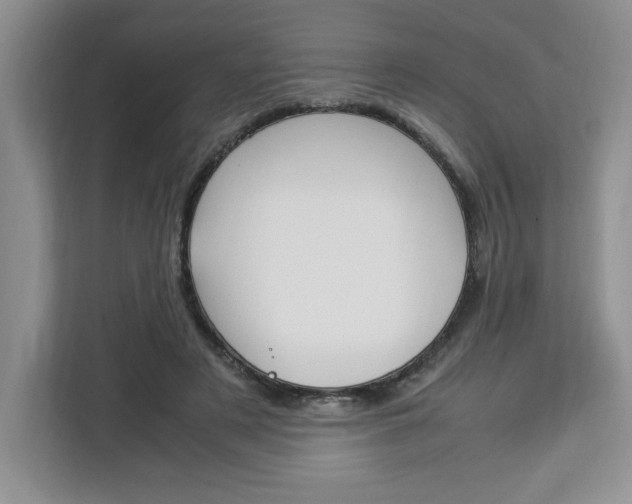 X0000113090497200908281010