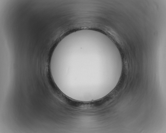 X0000113090499200908281010