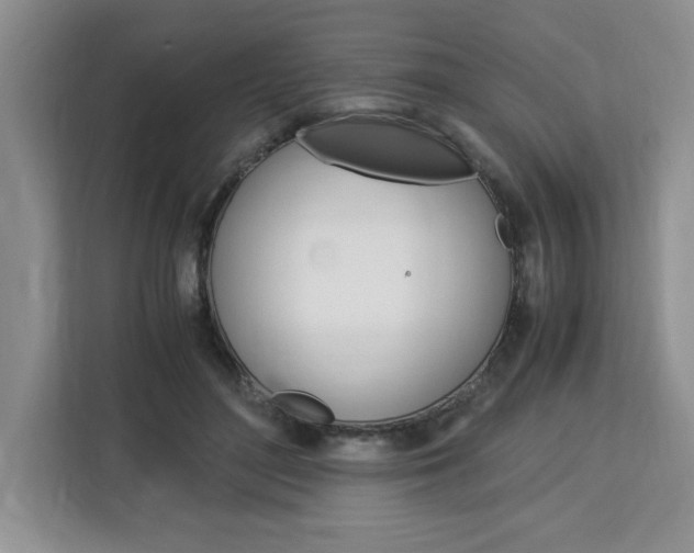 X0000113090500200908281010