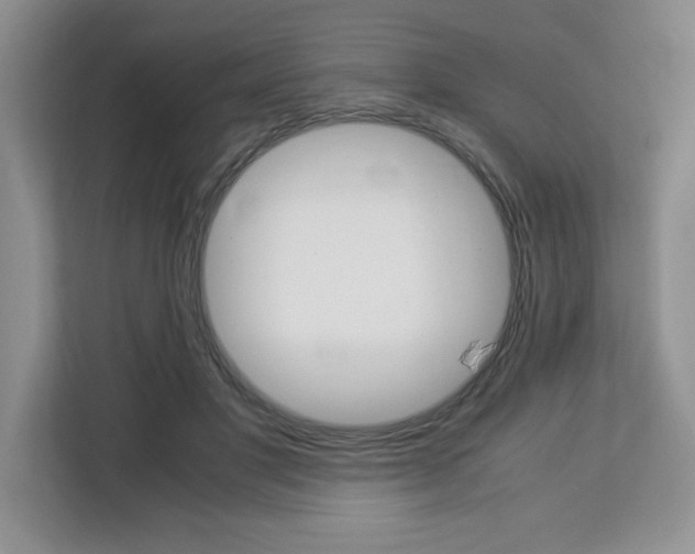 X0000113090501200908281010
