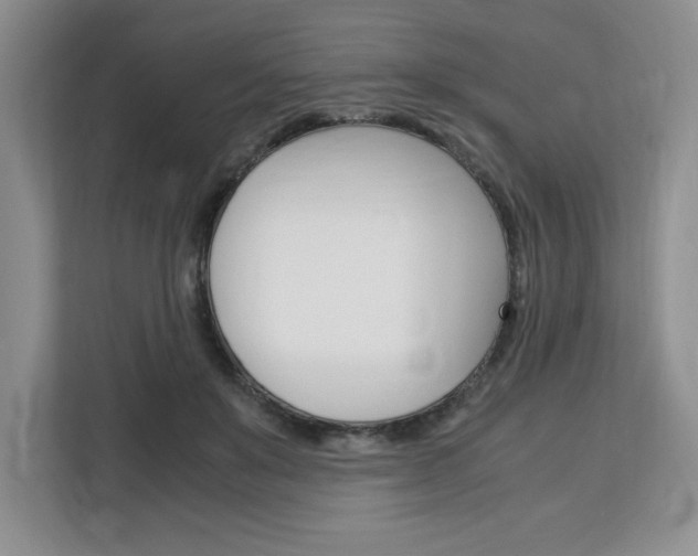 X0000113090503200908281010