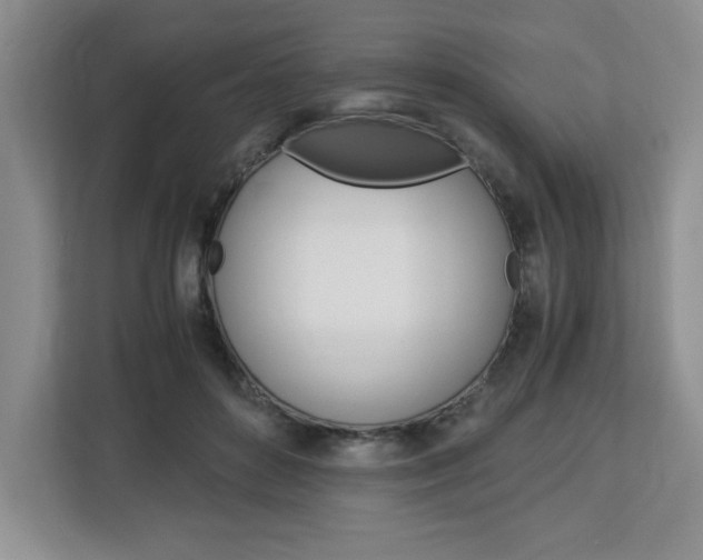 X0000113090504200908281010
