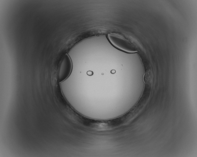 X0000113090509200908281010