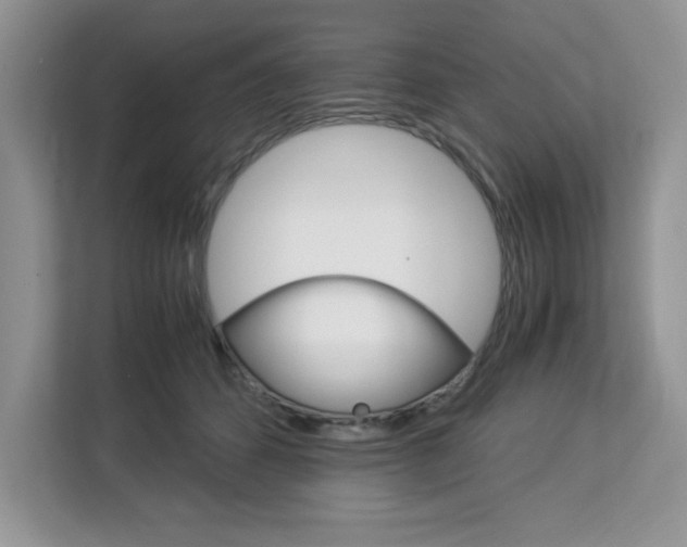 X0000113090512200908281010