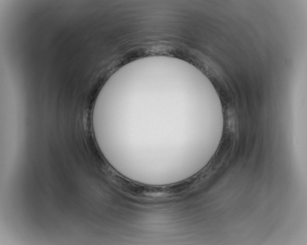 X0000113090514200908281010