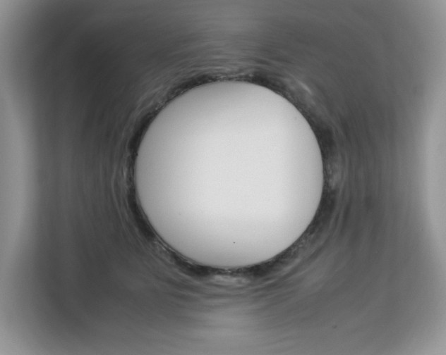 X0000113090515200908281010