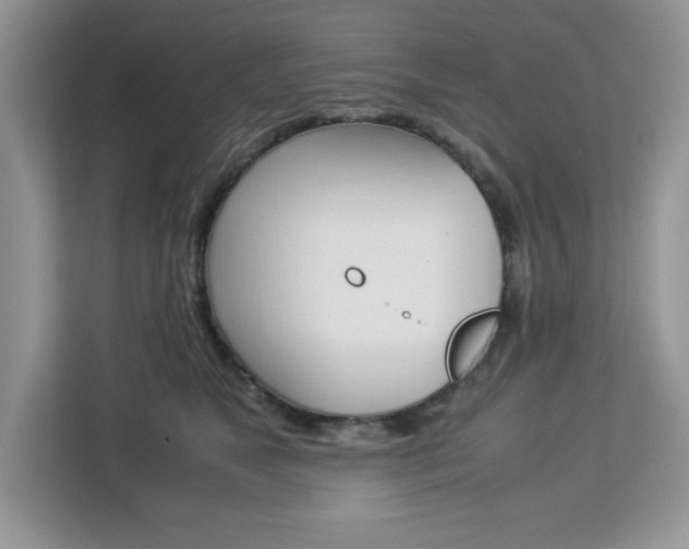 X0000113090517200908281010