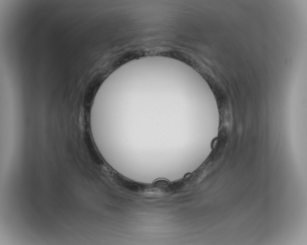 X0000113090519200908281010