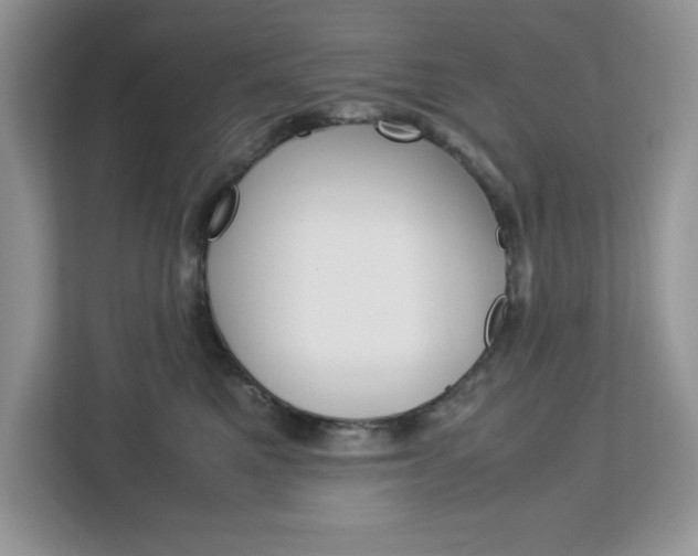 X0000113090521200908281010