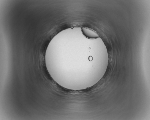 X0000113090523200908281010