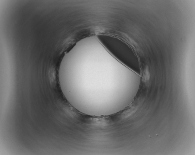 X0000113090524200908281010