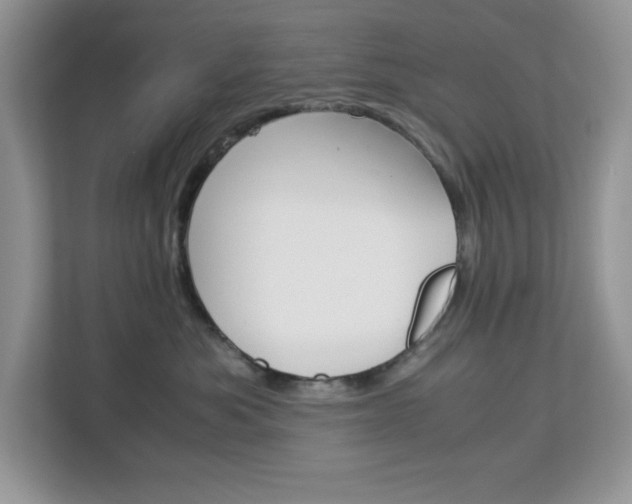 X0000113090525200908281010