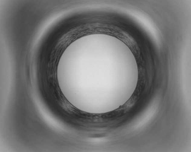 X0000113090526200908281010