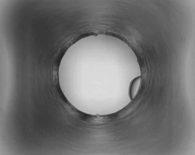 X0000113090527200908281010