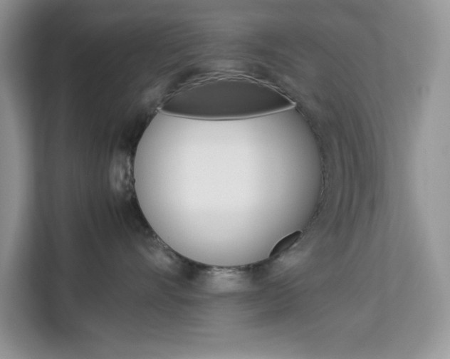 X0000113090528200908281010
